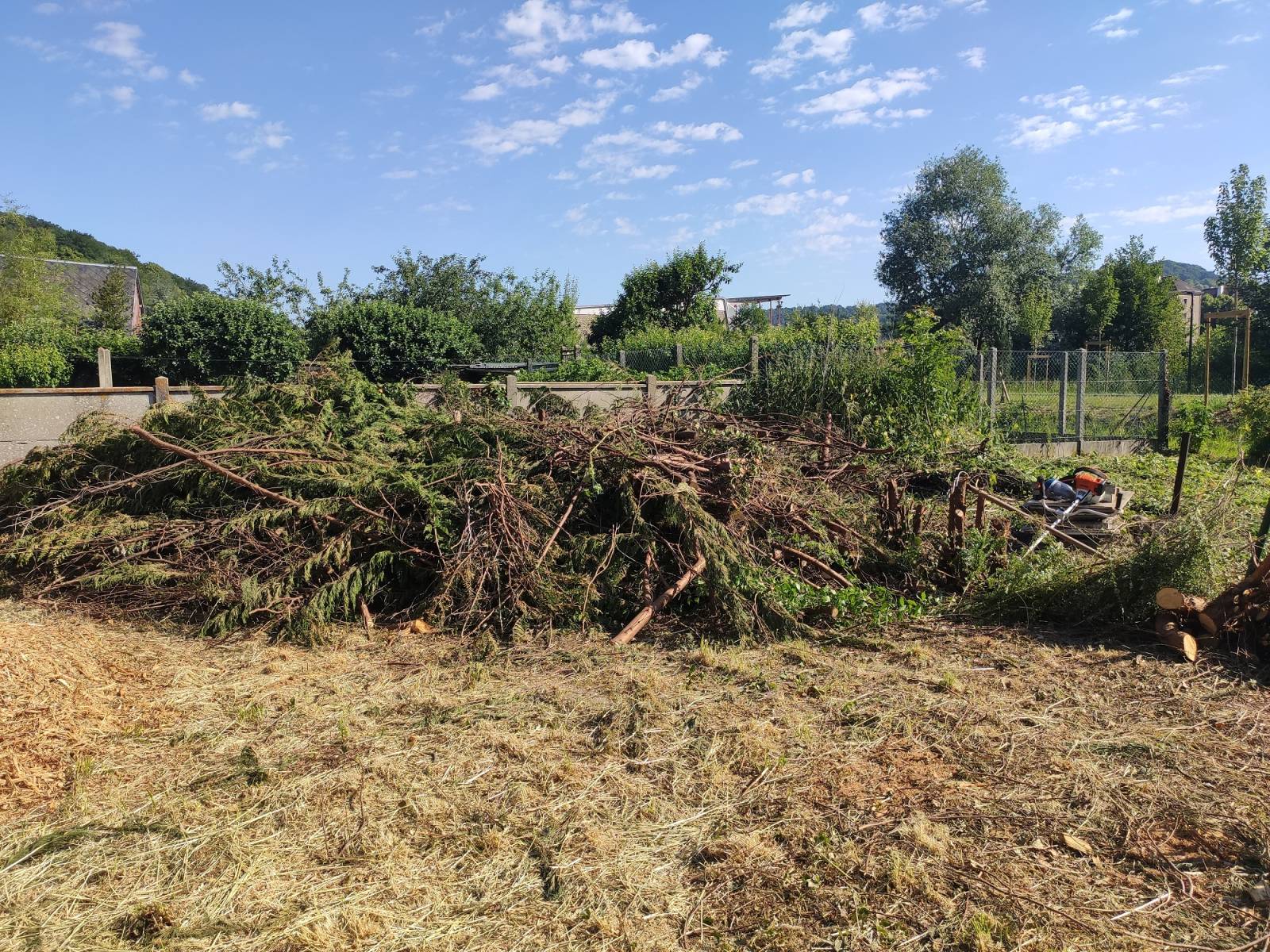 Enlèvement de végétaux à Lillebonne
