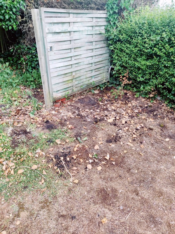 débarras déchets en extérieur proche de Dieppe